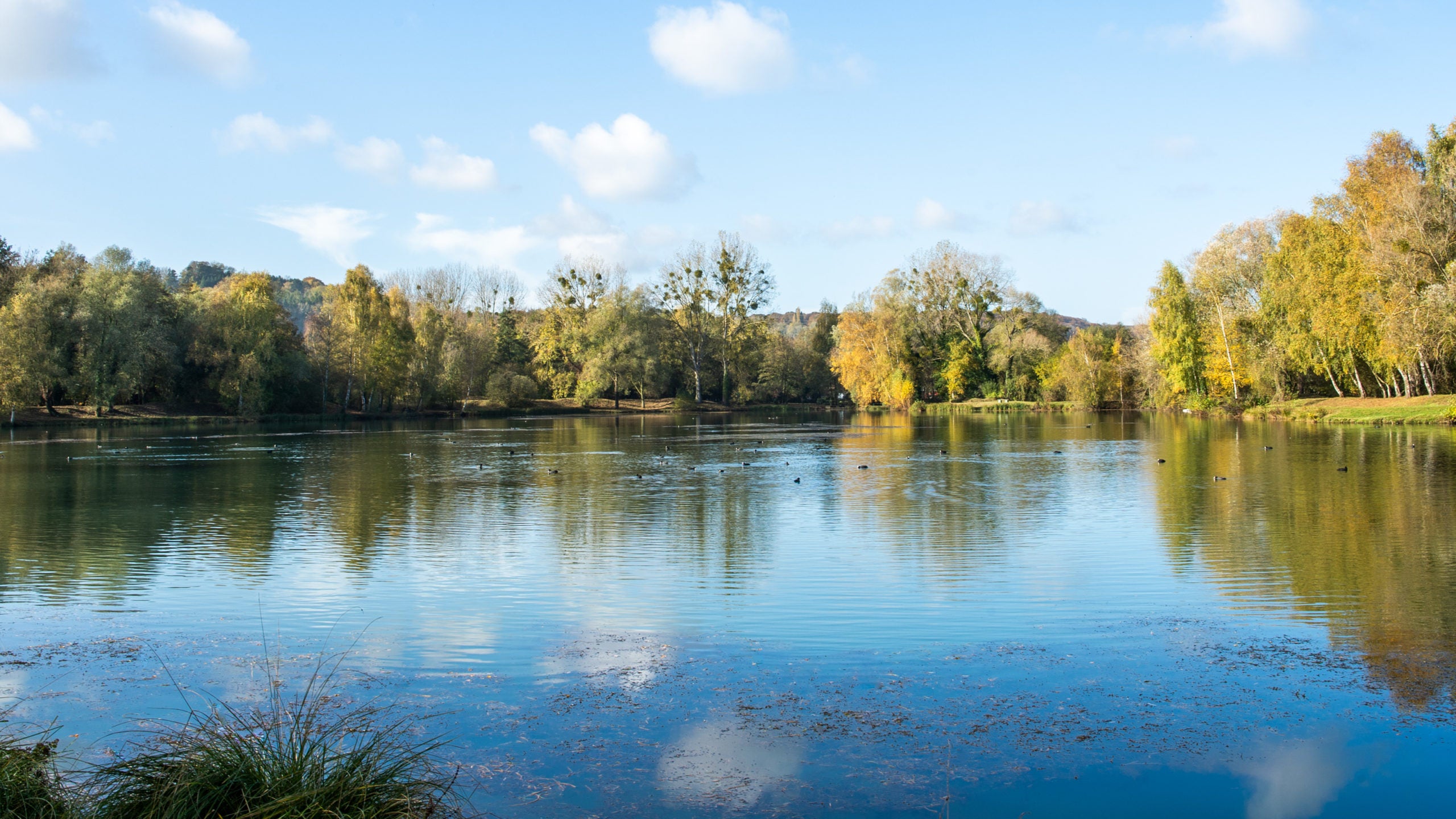 ballade autour des etangs