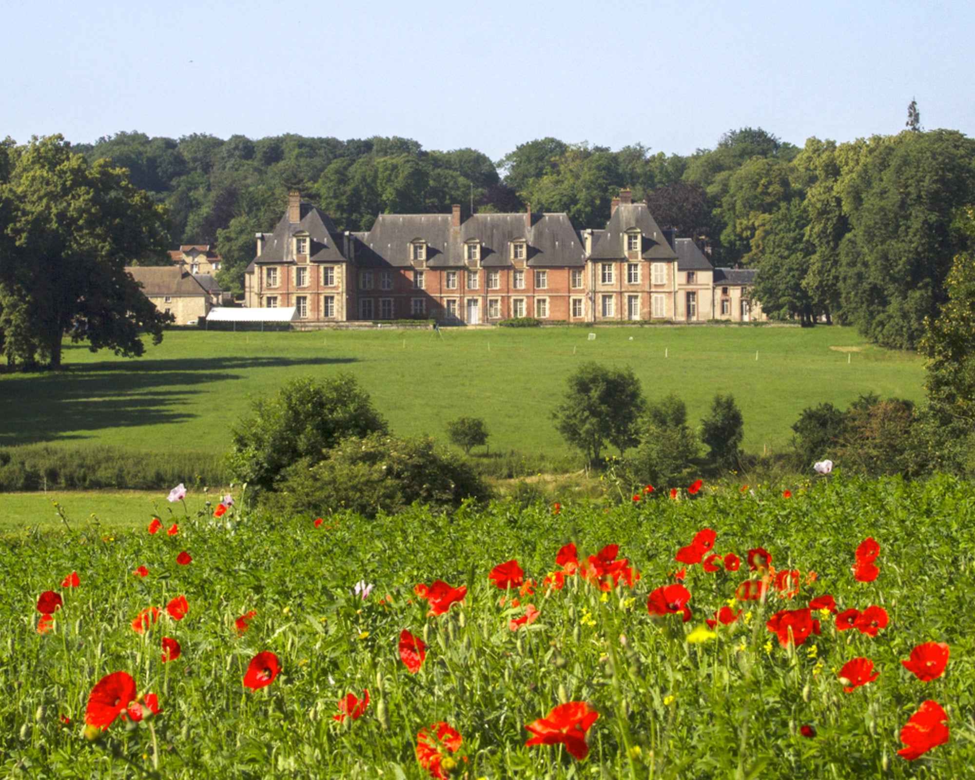 le chateau les champs et coquelicots