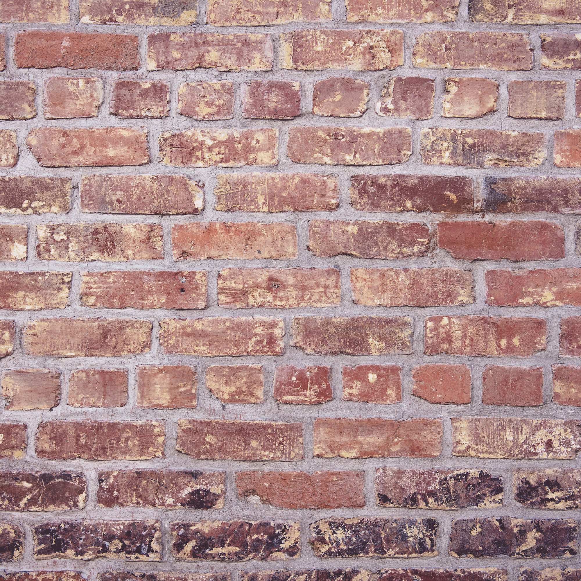 mur brique rouge nord de la france