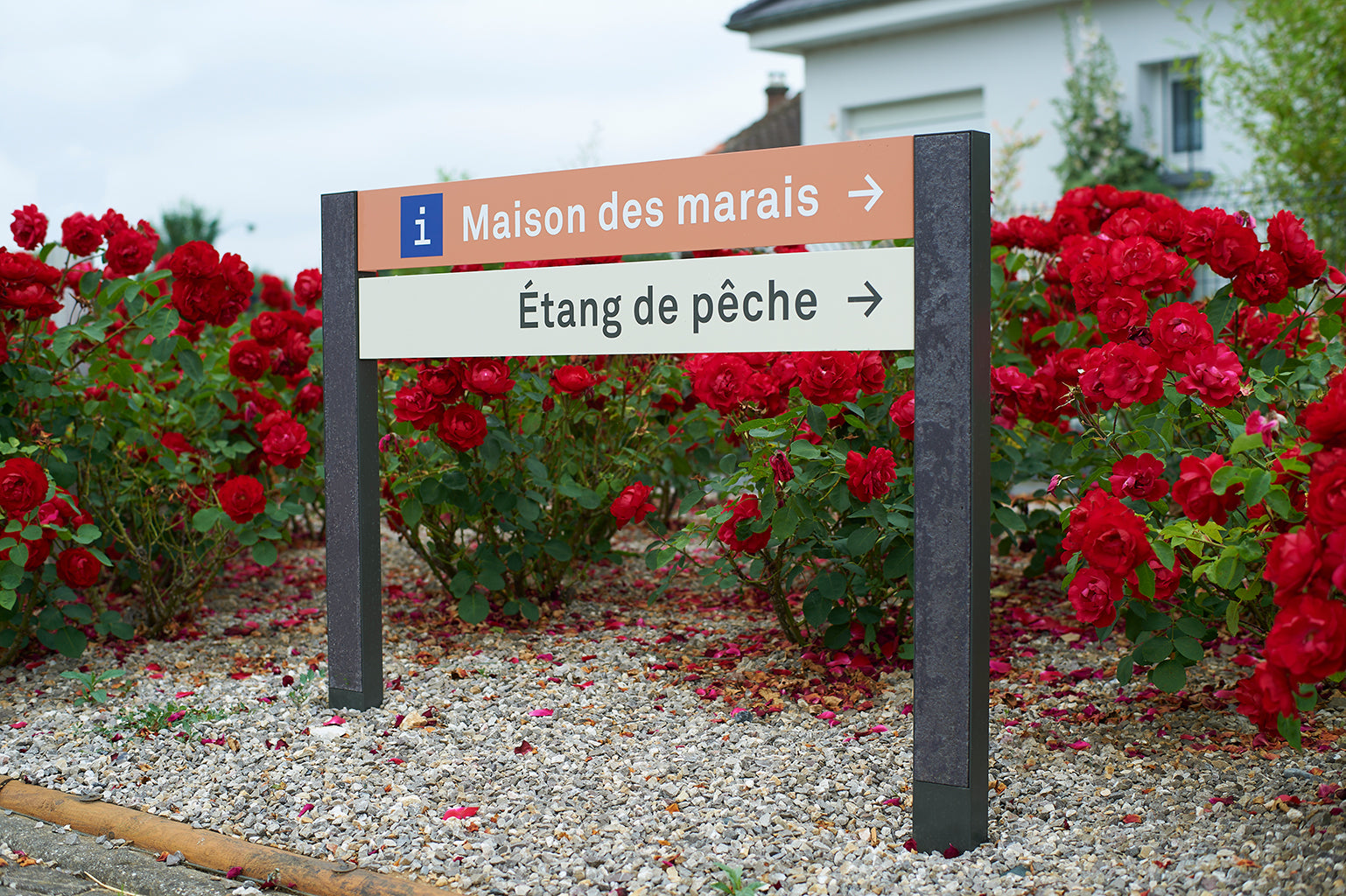 signalisation d information locale devant fleurs 1