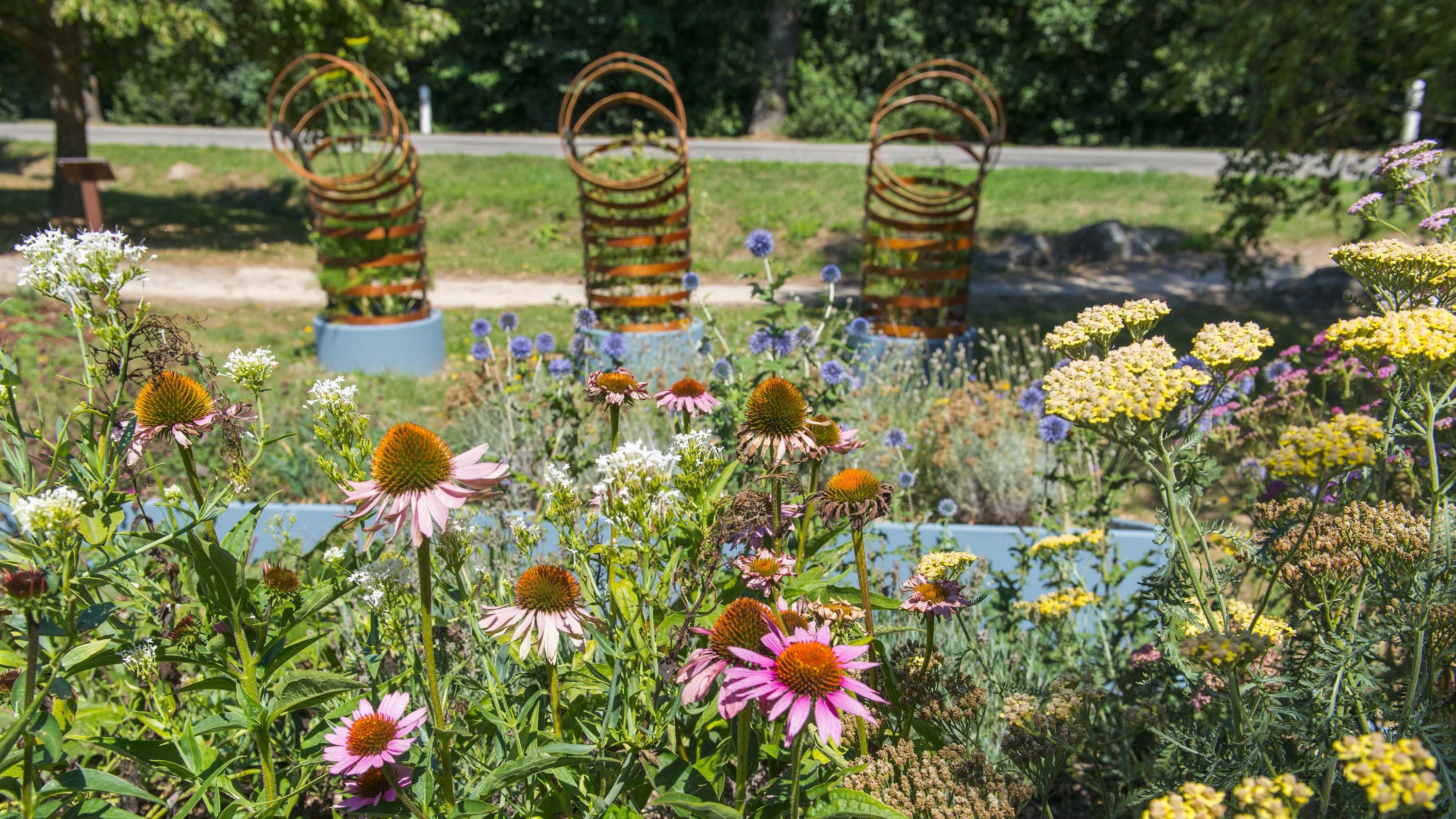 vue de l installation artistique dans les fleurs