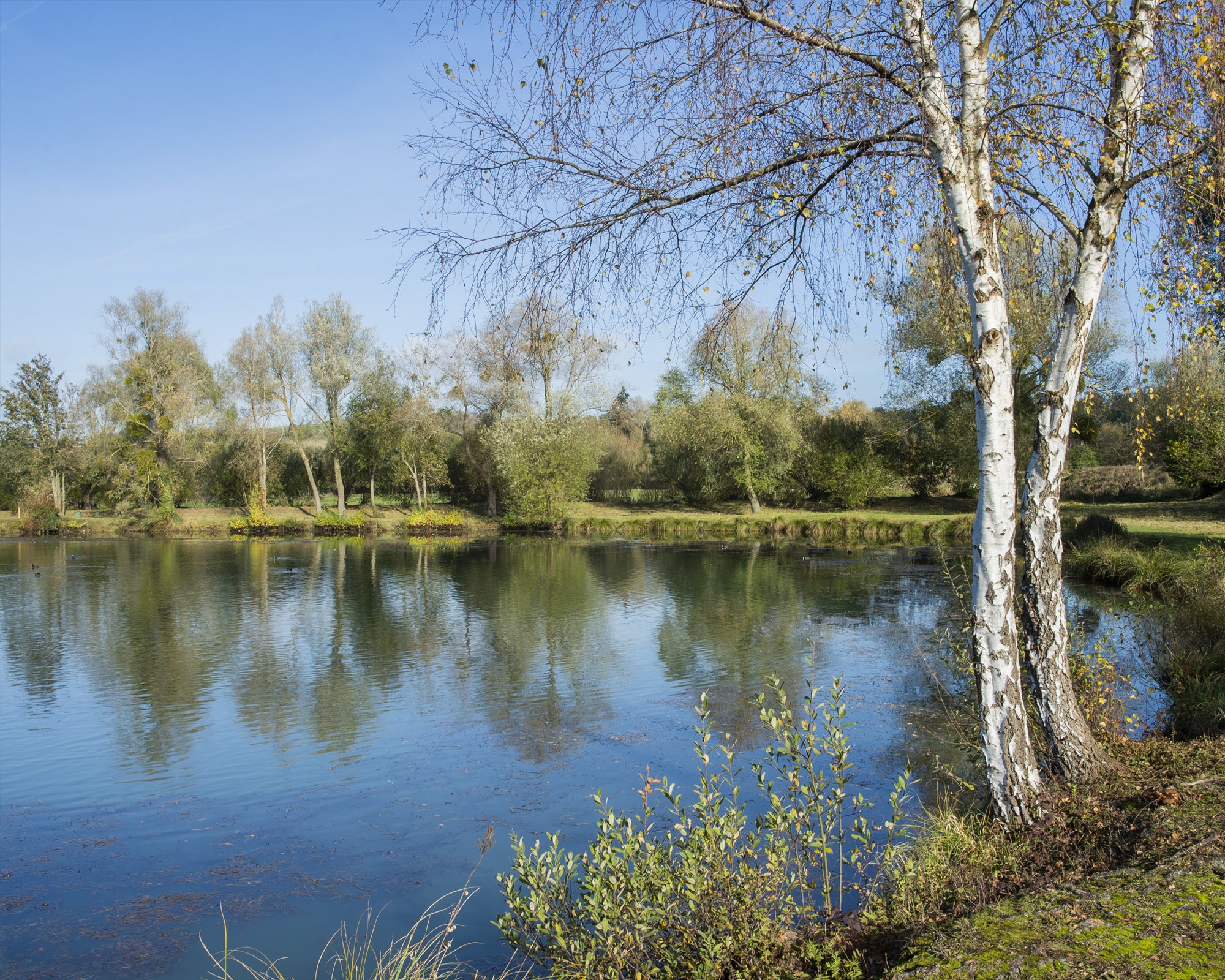 vue sur les etangs