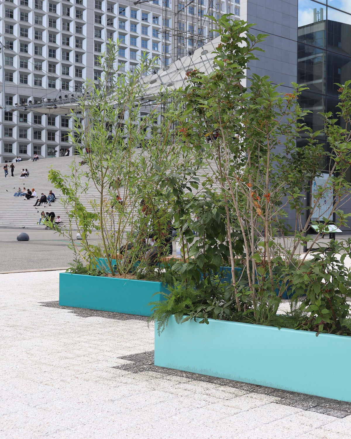 Bacs végétaux devant la Grande Arche de la Défense