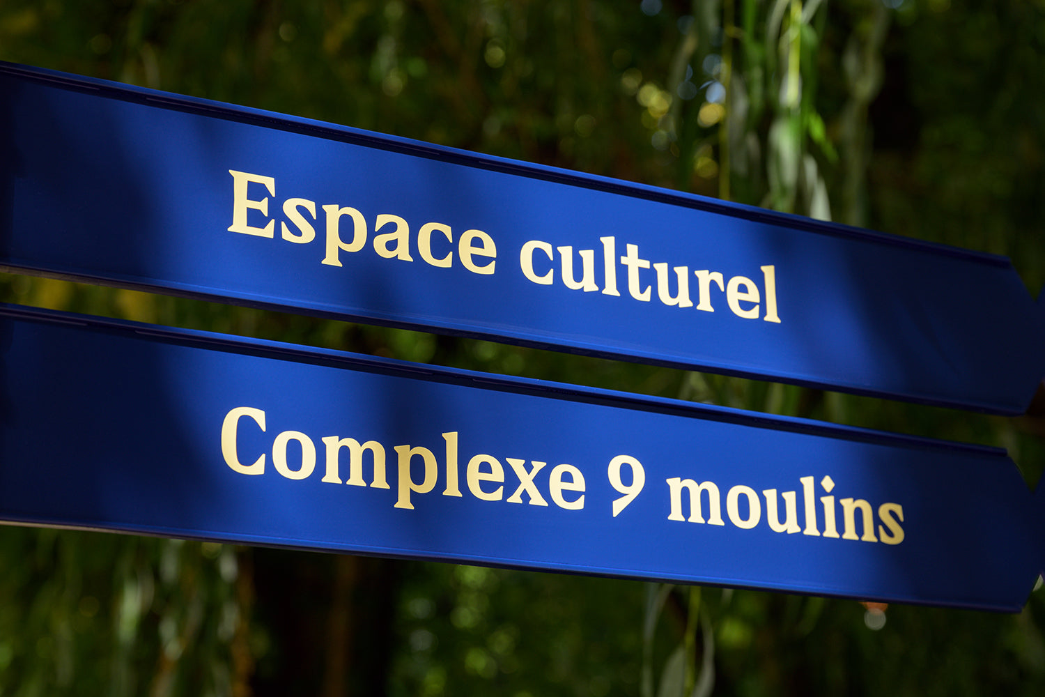 Dessin typographique qui mets en valeur l’identité de la ville