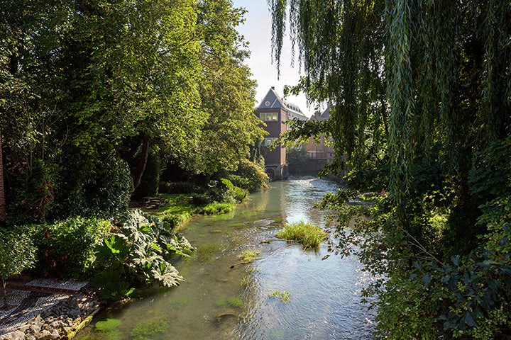 Vue sur la rivière L’Authie à Doullens dans tonalités verdâtres