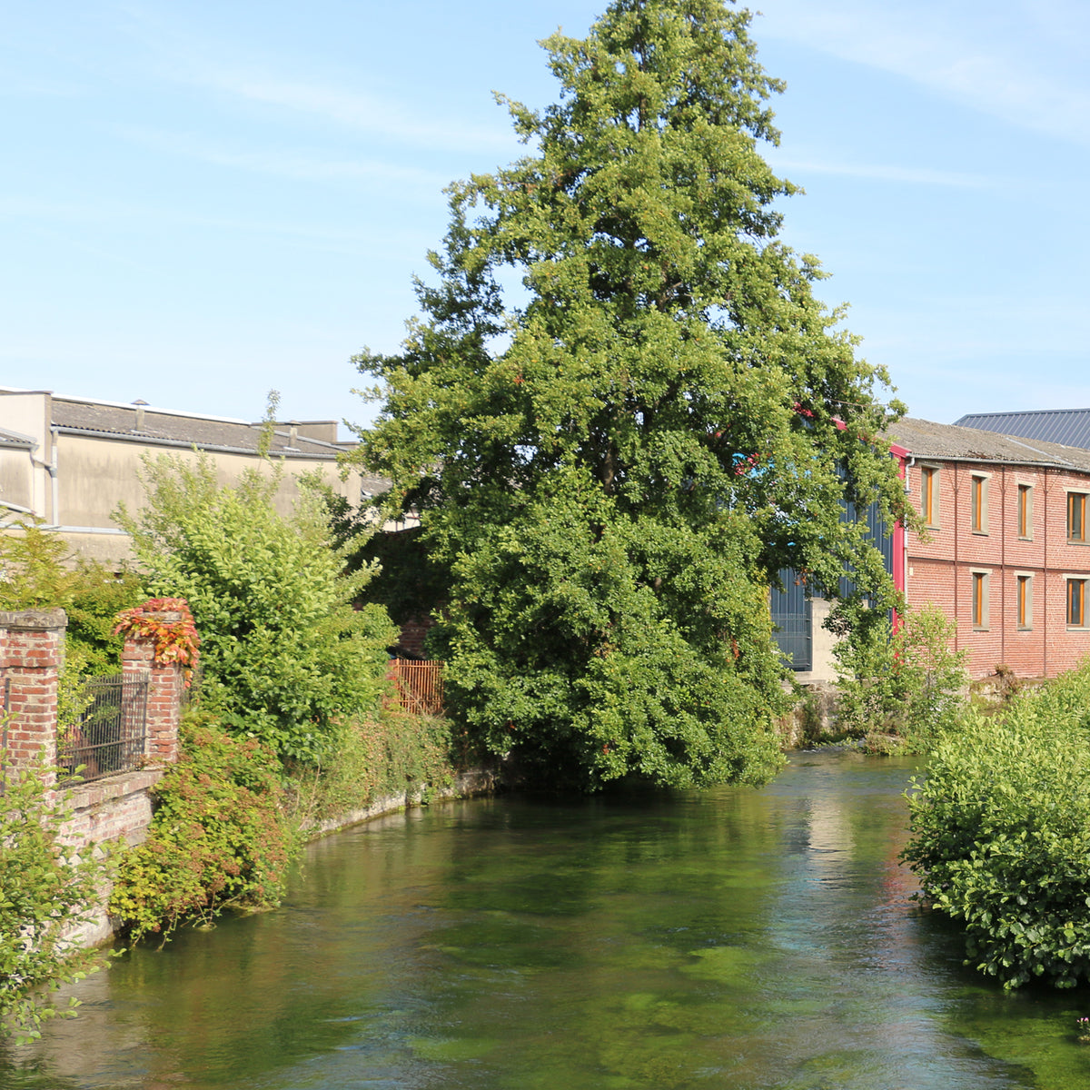 Paysage avec rivière, arbre et bâtiments