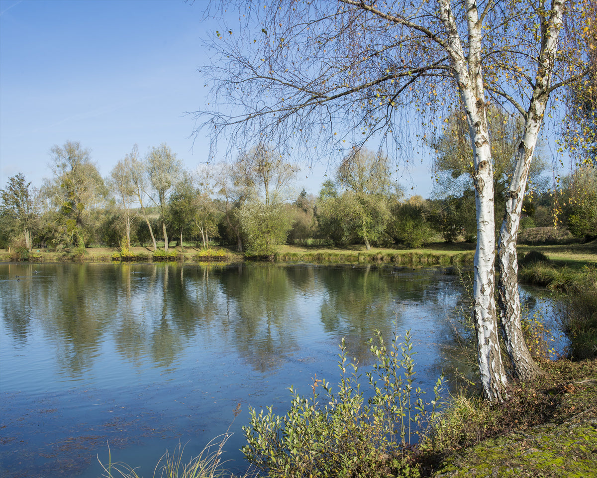 Vue paysagère sur les étangs le long du parcours de balade